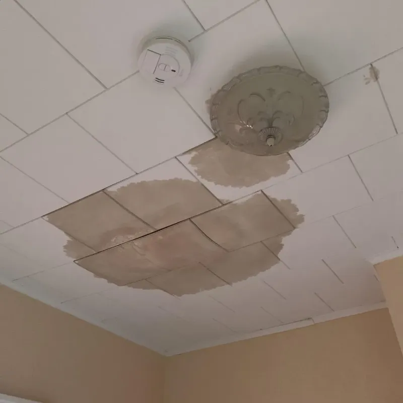 Ceiling Water Damage Repair in Center, NE