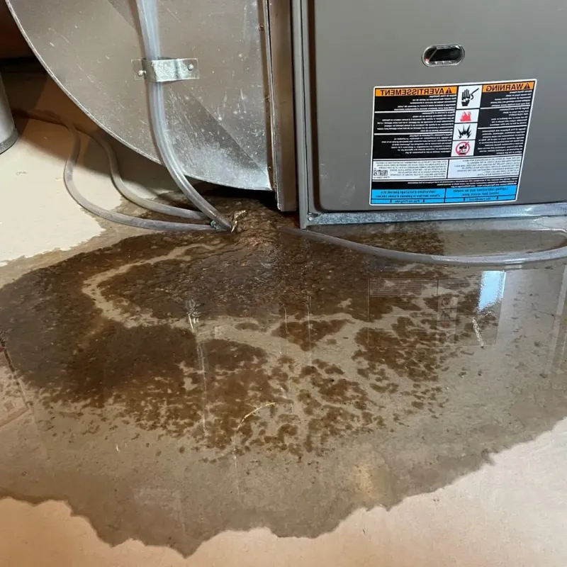 Pipe Burst and Leak Restoration in Center, NE