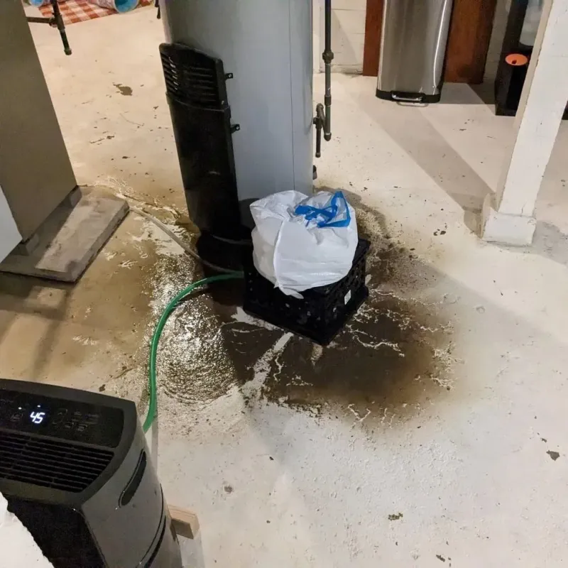 Sewage Backup Cleanup Service in Center, NE
